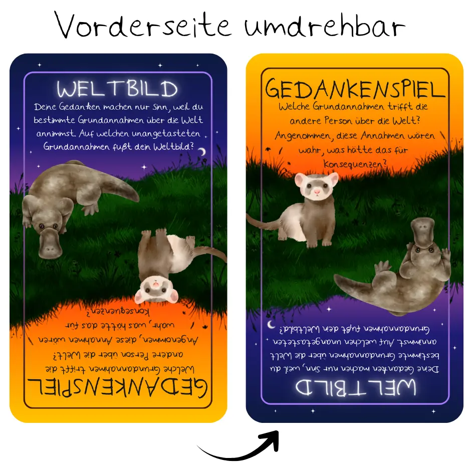 Perspektivwechsel Foto 6