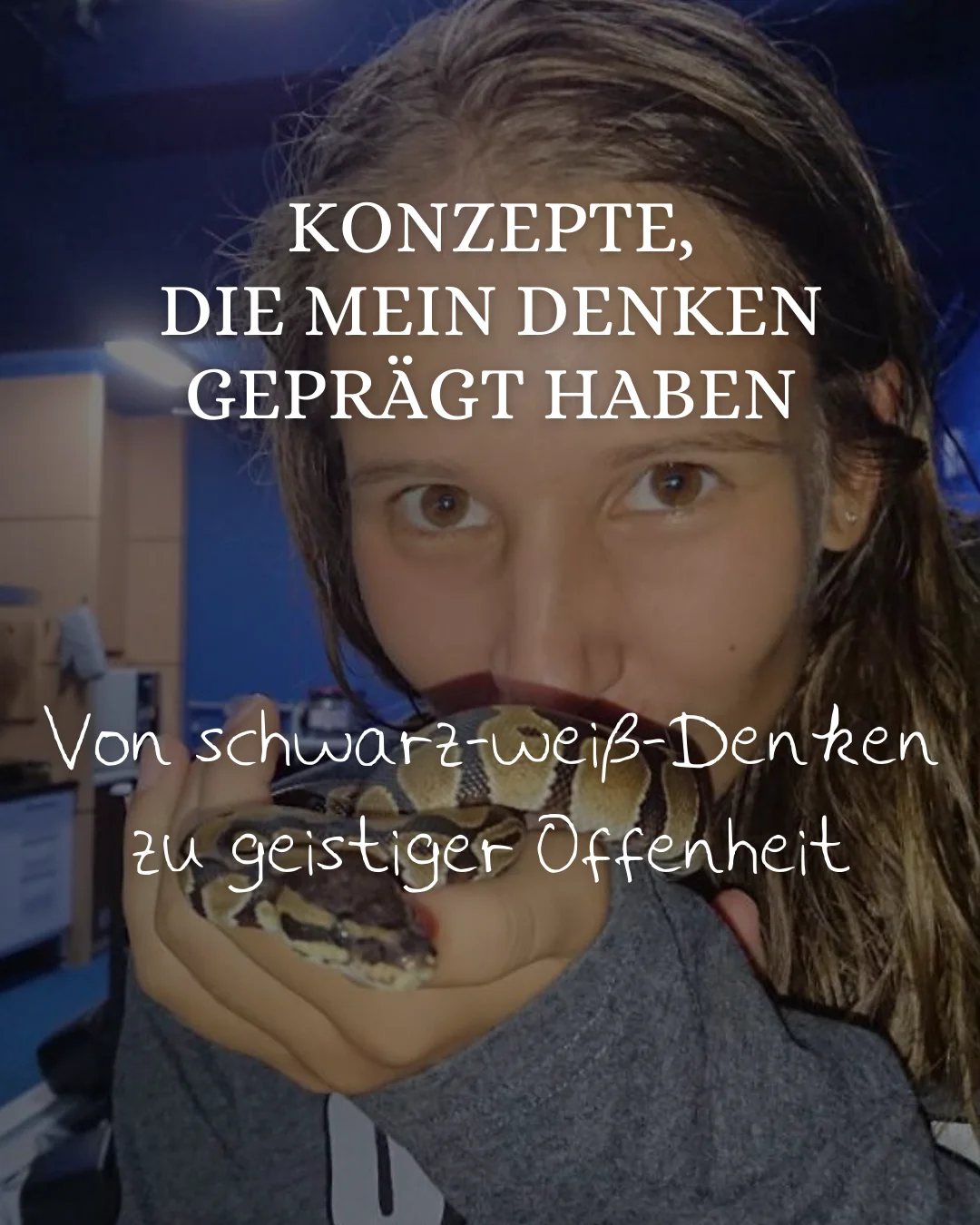 Konzepte 1