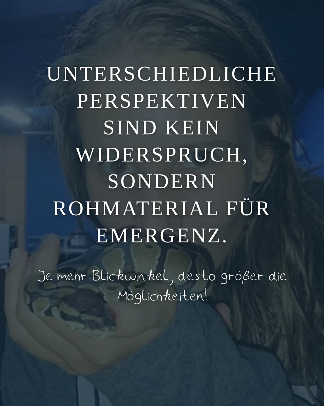Konzepte 12
